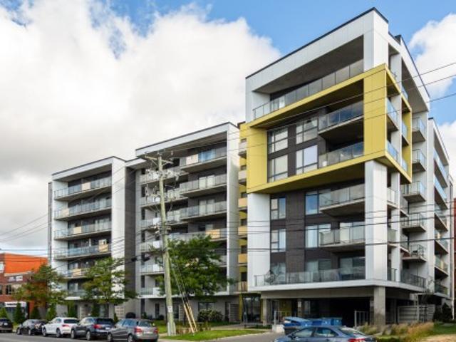 Condo for sale in Mont-Royal, Montréal (région administrative)