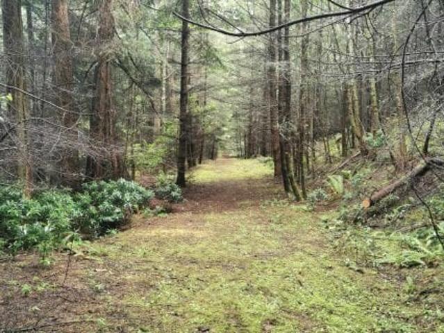 Land for sale in Mayne, British Columbia
