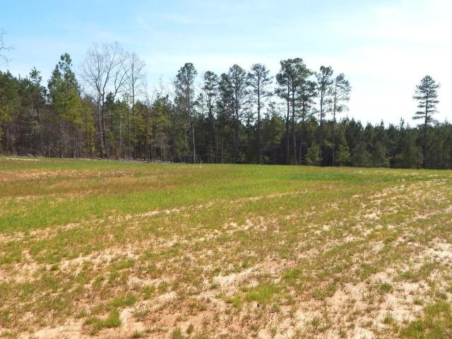 Land for sale in Grenada, Mississippi