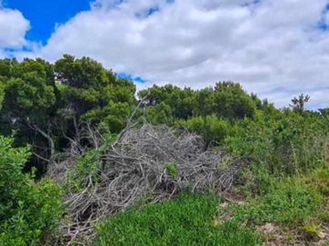 Land for sale in Cape St Francis, Eastern Cape