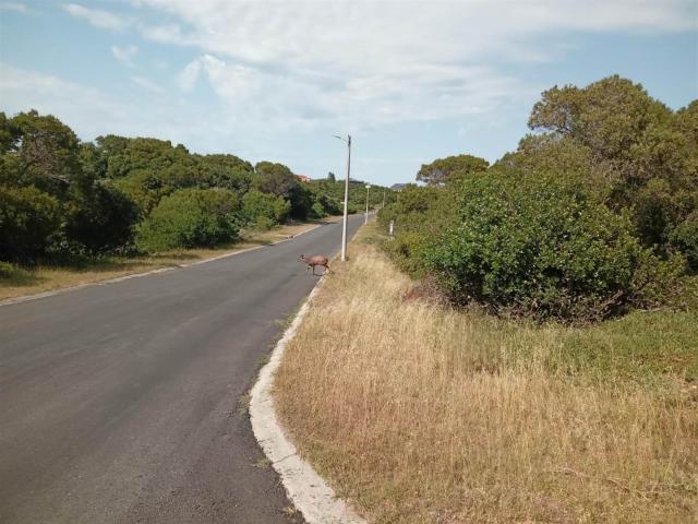 Land for sale in Cape St Francis, Eastern Cape