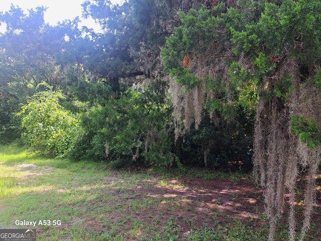 Land for sale in Georgia