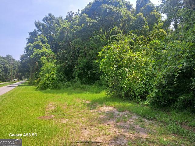 Land for sale in Georgia