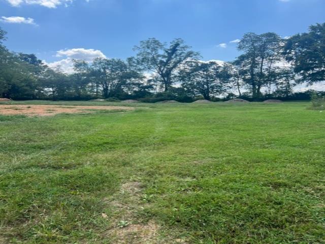 Land for sale in Scottsville, Allen County