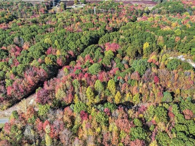 Land for sale in Covert, Michigan