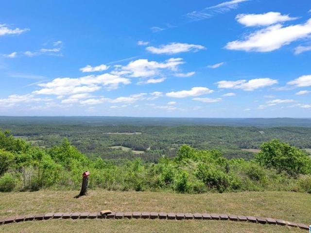 House for sale in Springville, Alabama