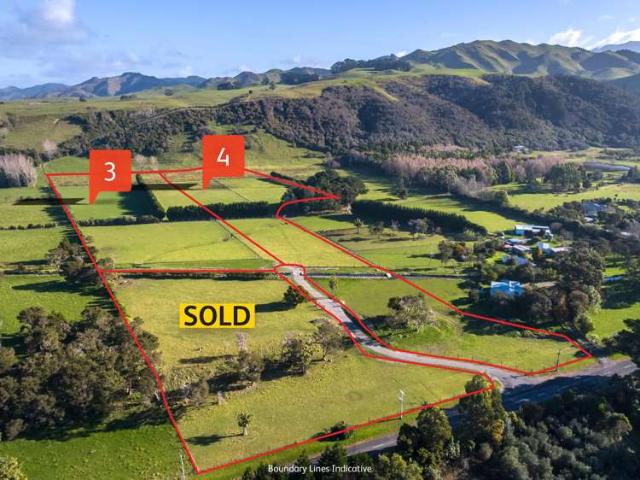 Property for sale in Carterton, Wellington