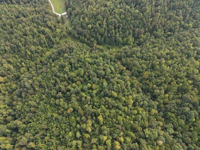 Land for sale in Menifee, Kentucky