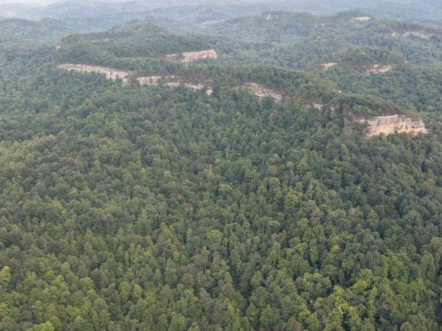 Land for sale in Frenchburg, Menifee County
