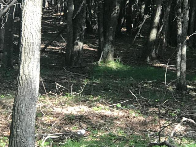 Land for sale in Carbon, Pennsylvania