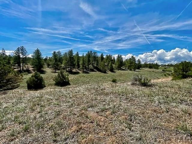 Land for sale in Colorado