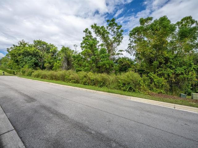 Land for sale in Tangerine, Florida