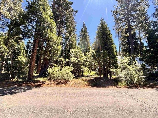 Land for sale in Tahoma, California