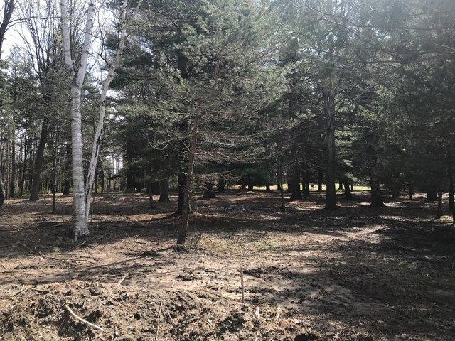 Land for sale in South Haven, Van Buren County