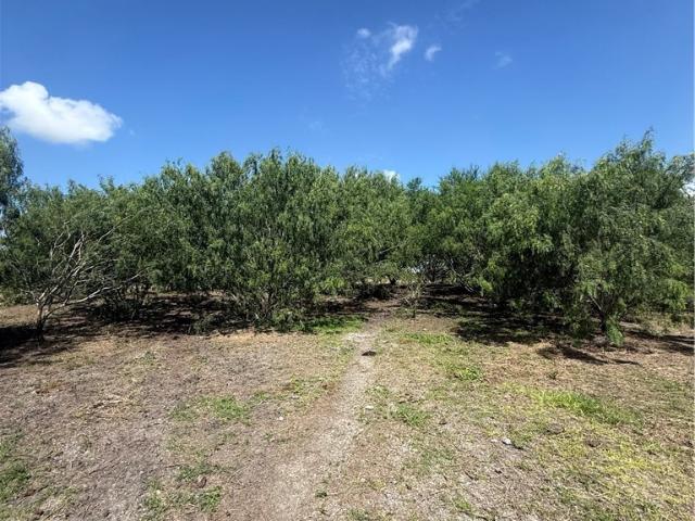 Land for sale in San Patricio, Texas