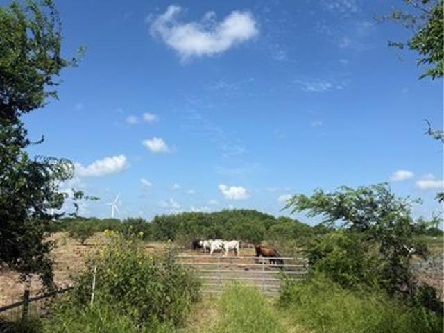 Land for sale in San Patricio, Texas