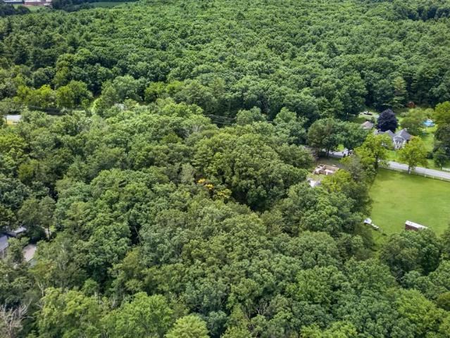 Land for sale in Polk Township, Monroe County