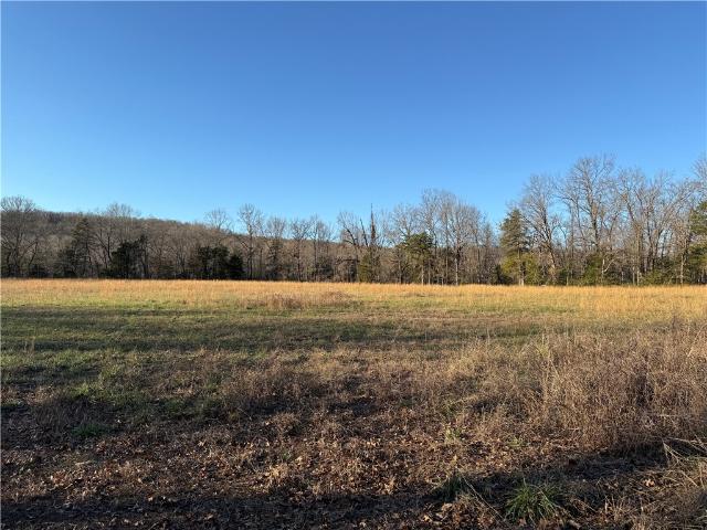 Land for sale in Ark