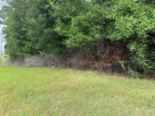 Land for sale in Dougherty, Georgia