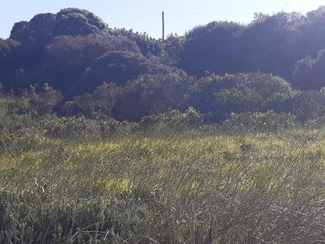 Land for sale in Cape St Francis, Eastern Cape