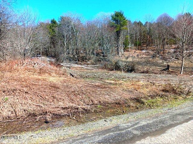Land for sale in Maryland, New York