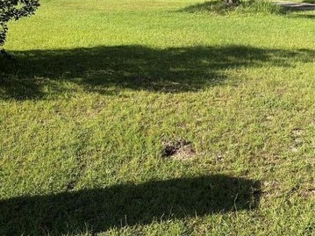 Land for sale in Mobile, Alabama