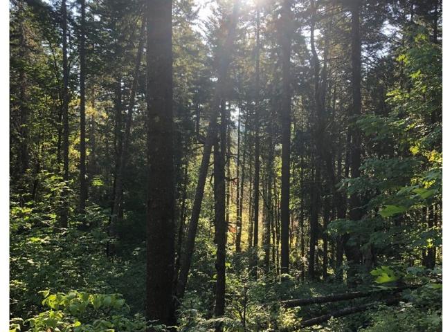 Land for sale in White Salmon, Washington