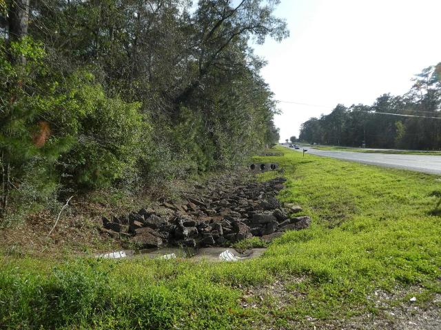 Land for sale in Florida