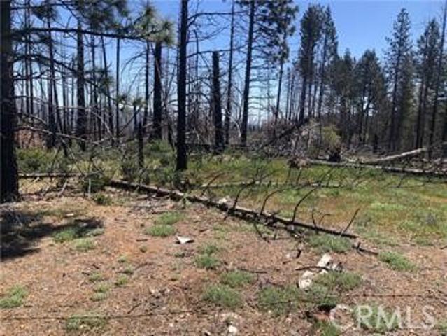 Land for sale in Lake, California