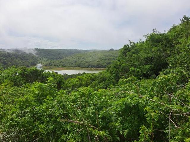 Land for sale in Bathurst, Ndlambe Local Municipality