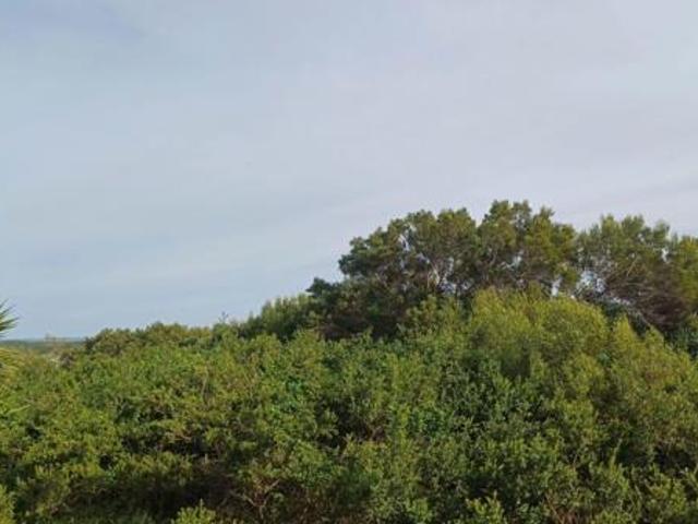Land for sale in Cape St Francis, Eastern Cape
