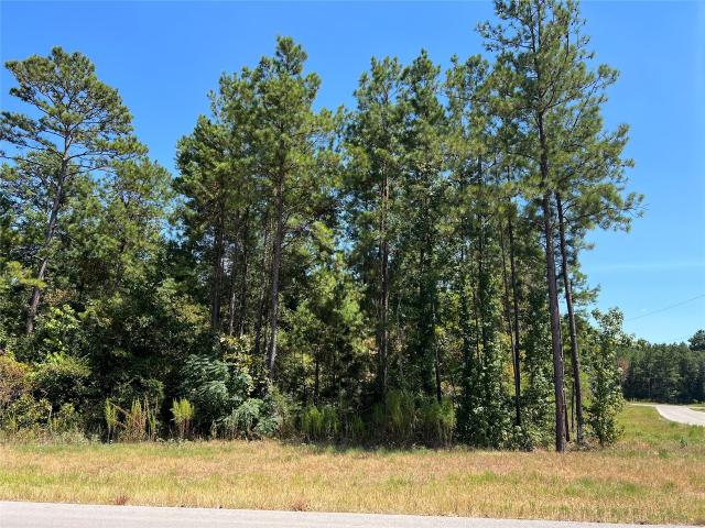Land for sale in Walker, Texas