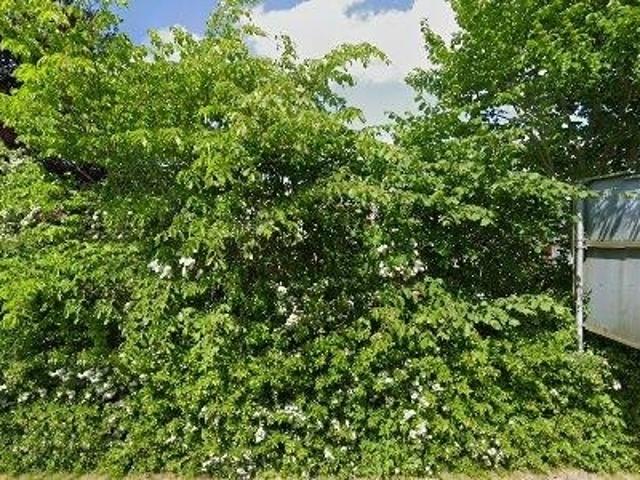 Erhvervsejendom til leje i Præstø, Vordingborg