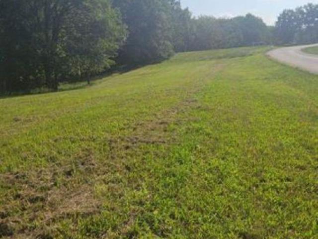 Land for sale in Ringgold, Iowa
