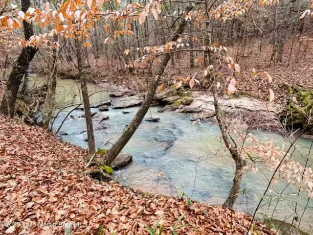 House for rent in Tallapoosa, Alabama