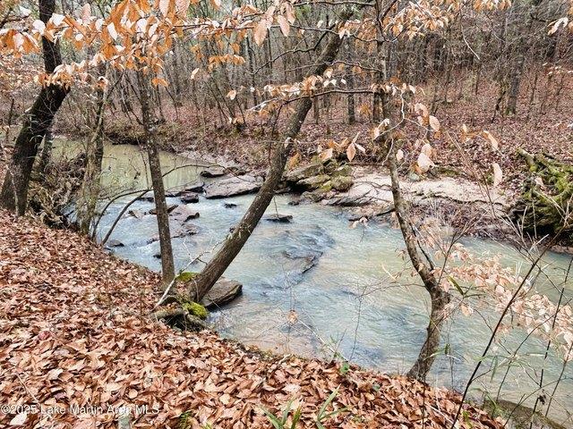 Farm for sale in Tallapoosa, Alabama