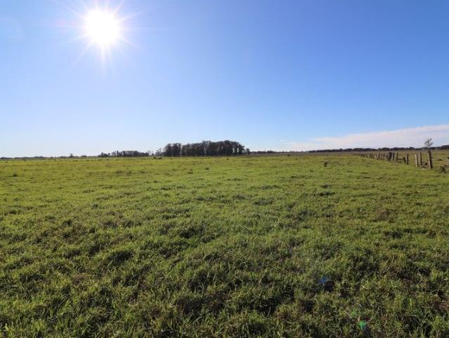 Cottage for sale in Austral Eden, New South Wales