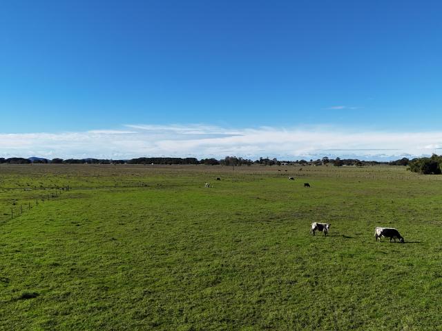 Cottage for sale in Austral Eden, New South Wales