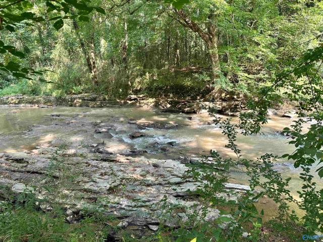 Land for sale in Collinsville, Alabama