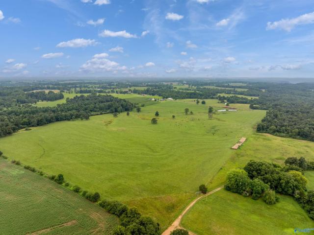 Land for sale in Fyffe, Alabama