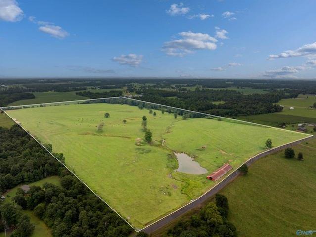 Land for sale in Fyffe, Alabama