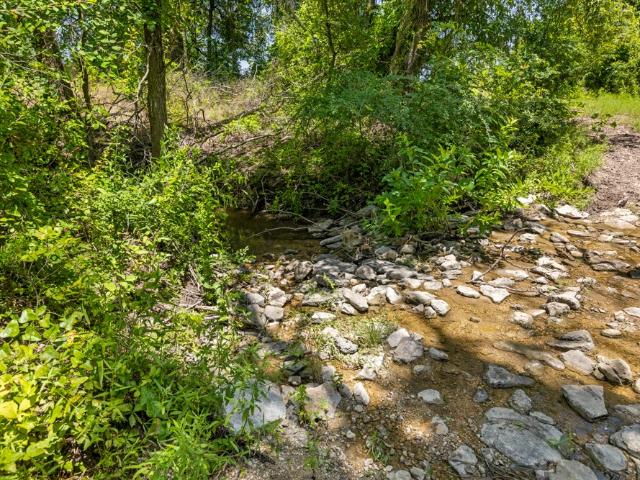 Land for sale in Hico, Texas