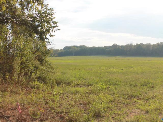 Land for sale in Falkville, Alabama