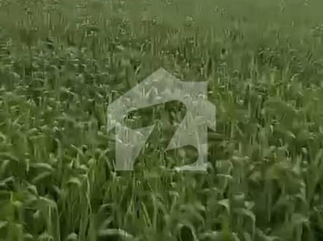 Land for sale in Sheikhupura, Islamabad Capital Territory