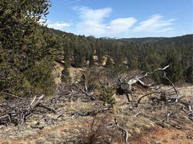 Land for sale in Cripple Creek