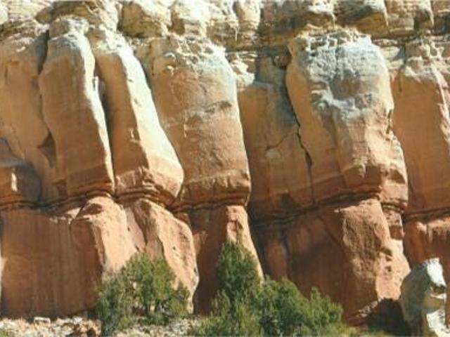 Land for sale in New Mexico