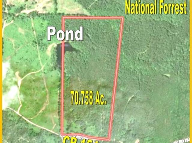 Land for sale in Tillatoba, Mississippi