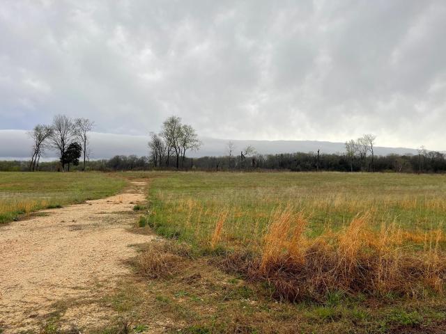 Land for sale in Tennessee