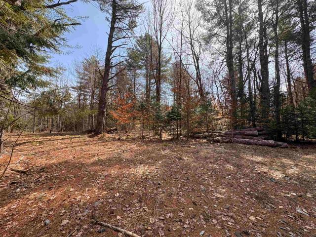 Property for sale in Whitingham, Vermont