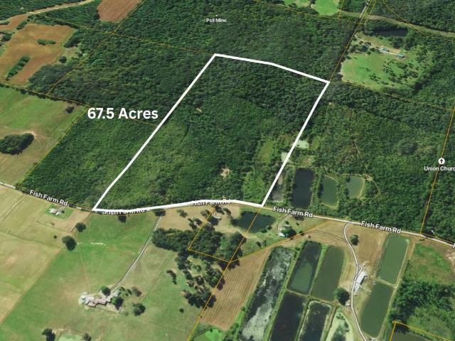 Land for sale in Golconda, Illinois